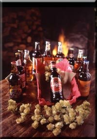 12_beers.jpg