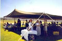 Christmas inside Hakea