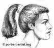 Ponytail.jpg